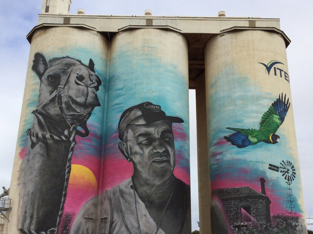 Cowell Silo Art景点图片