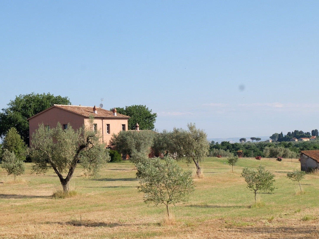 Tenuta Di Paternostro主图