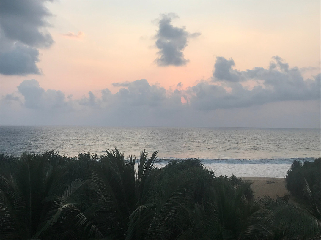 Coco Royal Beach Resort Pvt Ltd主图