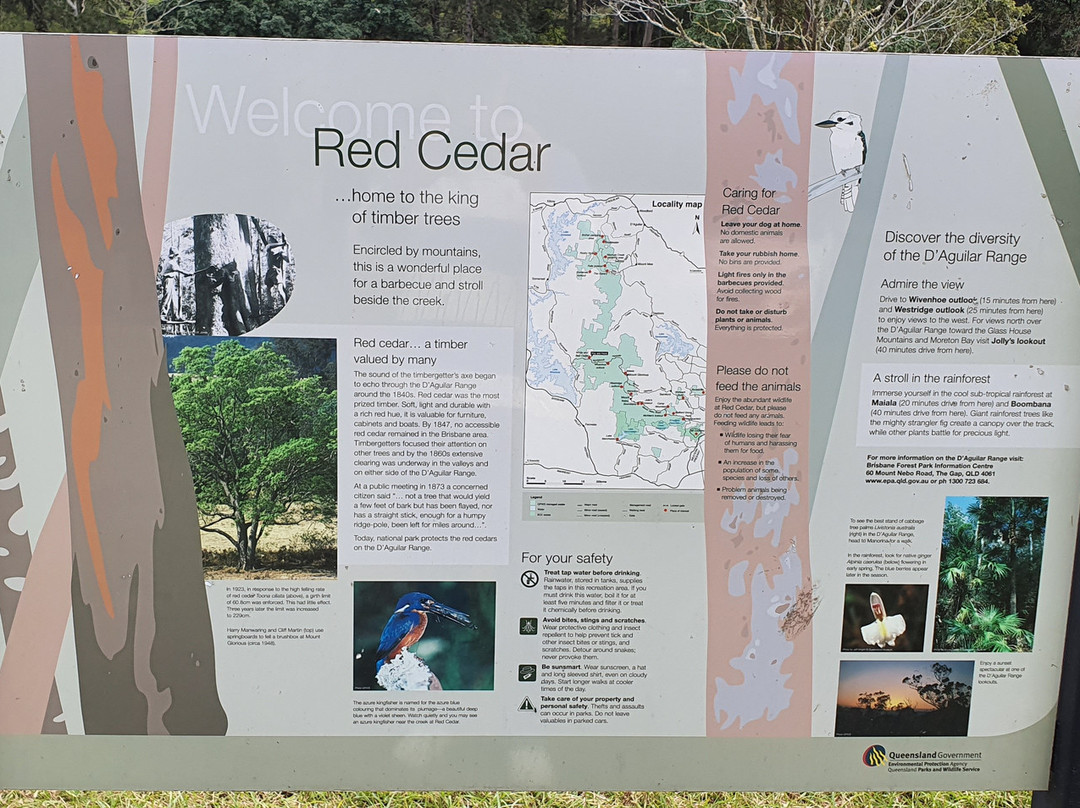 Red Cedar Park景点图片