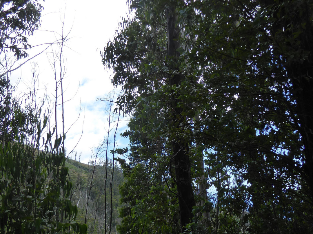 25 Fontes and Cascada da Risco-马德拉群岛必去景点