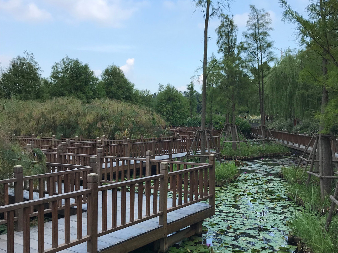 五缘湾湿地公园-厦门市必去景点