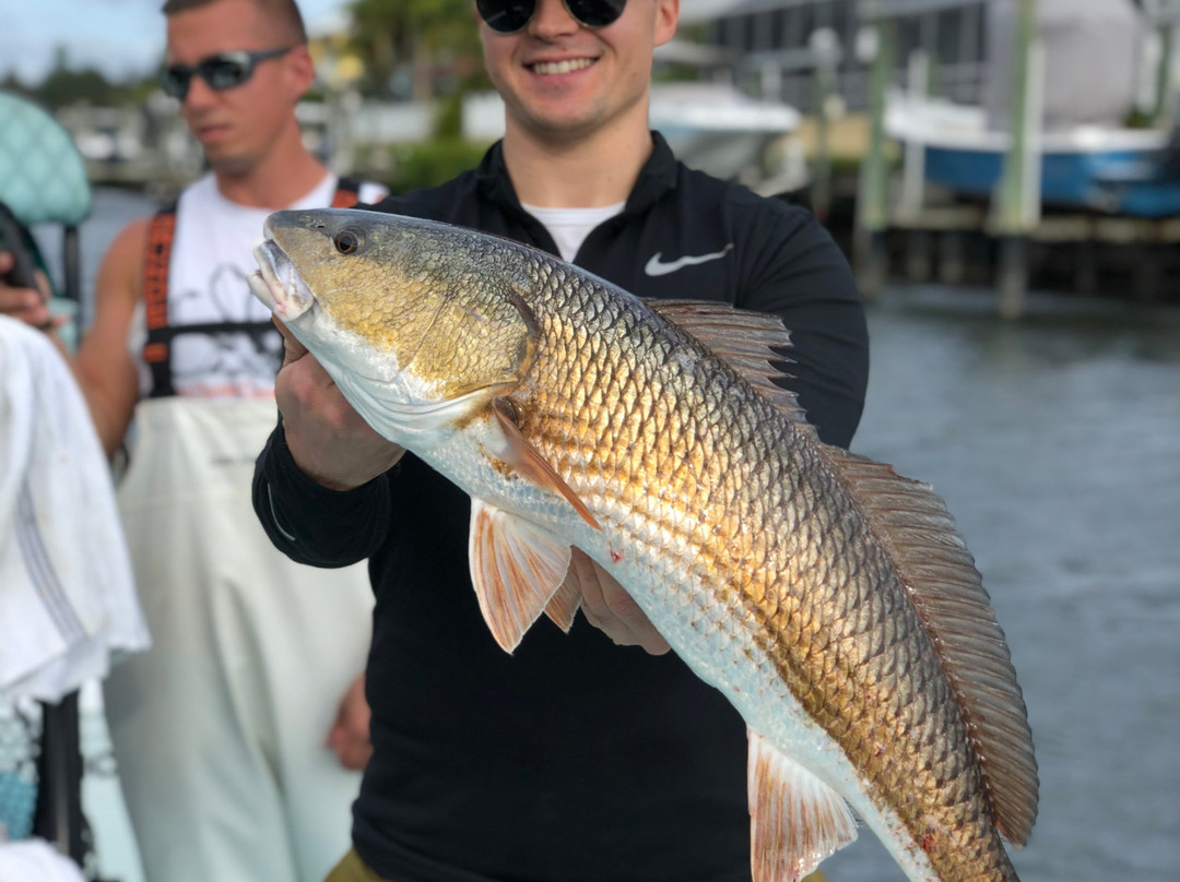 Tampa Fishing Charters景点图片