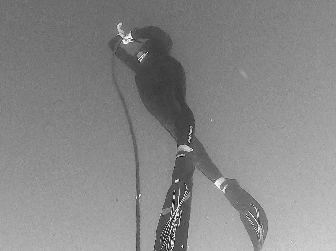 Panama Freediving-Isla de Coiba必去景点