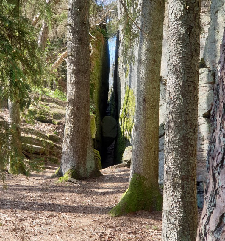 Borrås Skåra-Varobacka必去景点