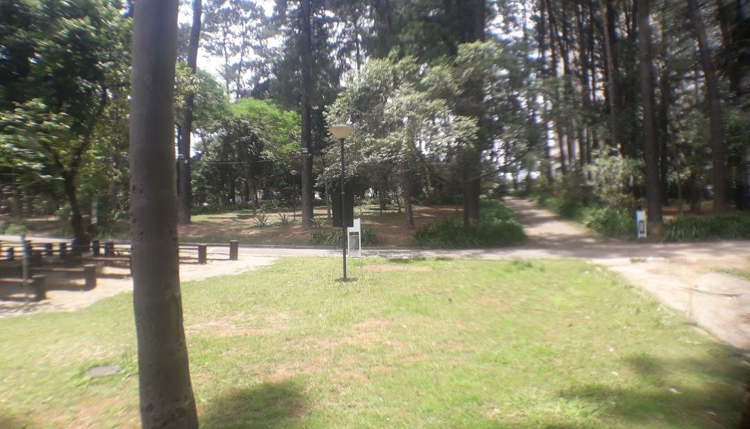 Parque Municipal Dom Jose景点图片