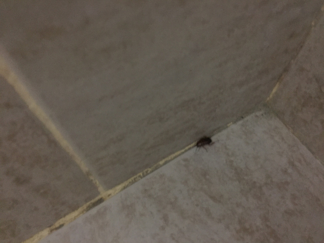 Hotel Piedra del Mar主图