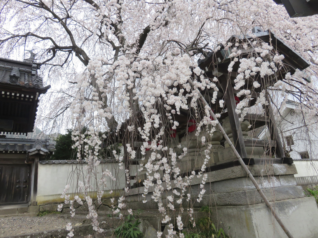Korin-ji Temple-长野县必去景点