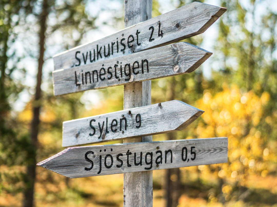 Storsatra Fjallhotell主图