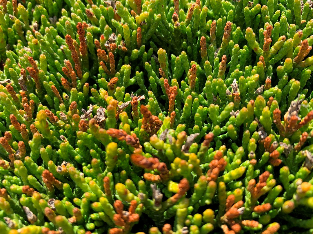 Victory Green-Stanley必去景点