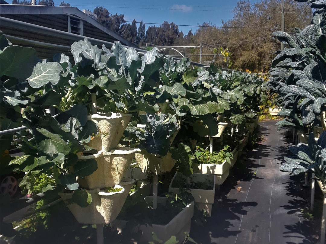 Hydro Harvest Farms-Ruskin必去景点