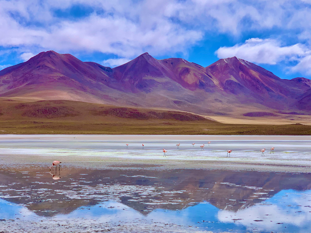 Laguna Hedionda景点图片