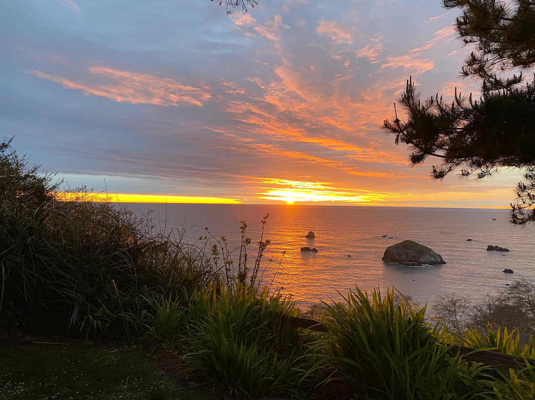 Lost Whale Inn主图