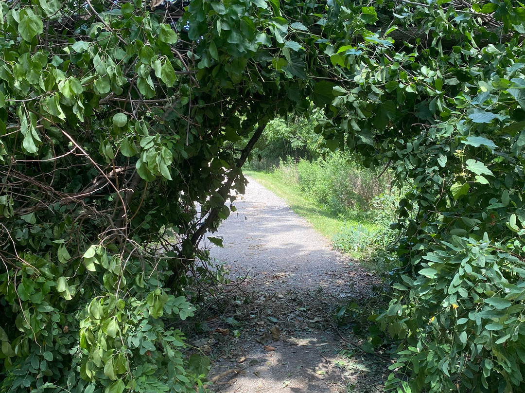 Scenic Hudson's Long Dock Park-Beacon必去景点