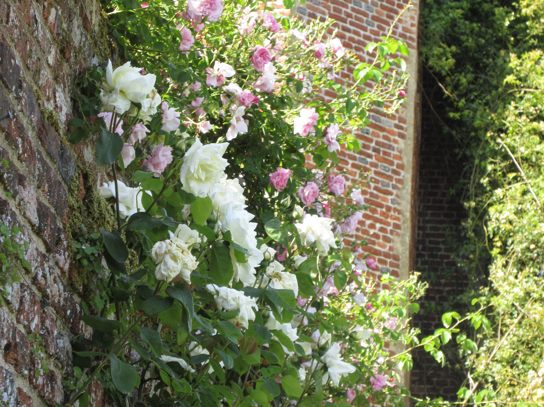 Sissinghurst Castle Garden景点图片