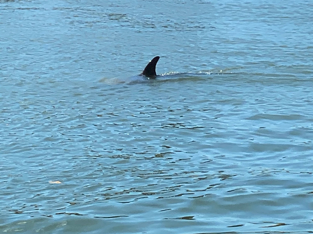 Just Add Water and Sun-那不勒斯必去景点