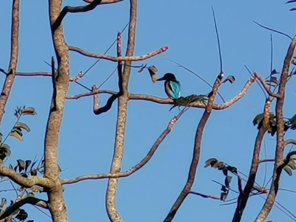 Ta Dung National Park-Dak Som必去景点