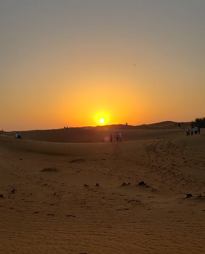迪拜沙漠保护区景点图片