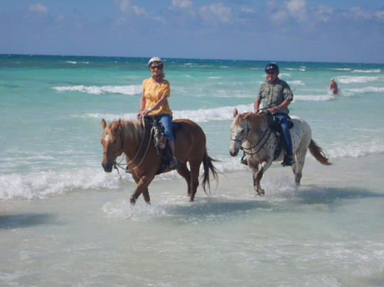 Pinetree Stables-弗里波特必去景点