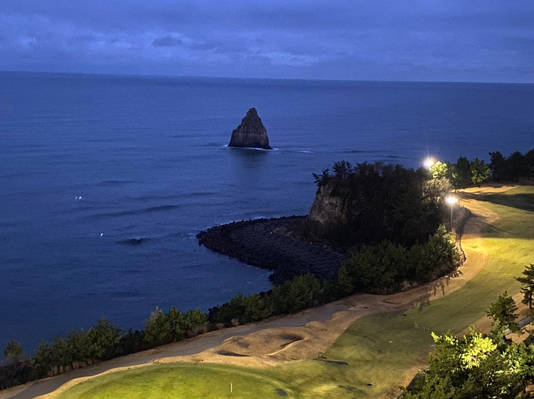 Onahama Ocean Hotel & Golf Club主图