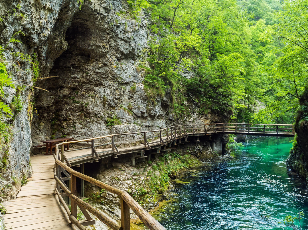 Day Trips Slovenia-卢布尔雅那必去景点
