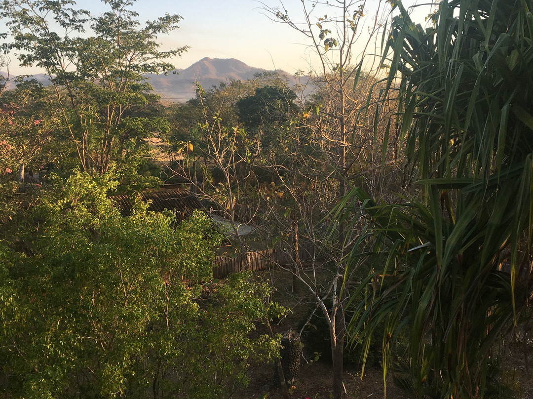 El Sabanero Eco lodge主图