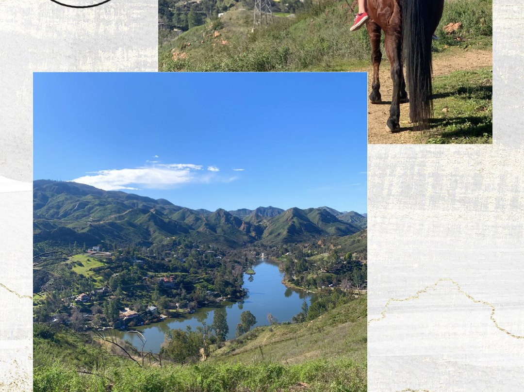 Malibu Riders景点图片