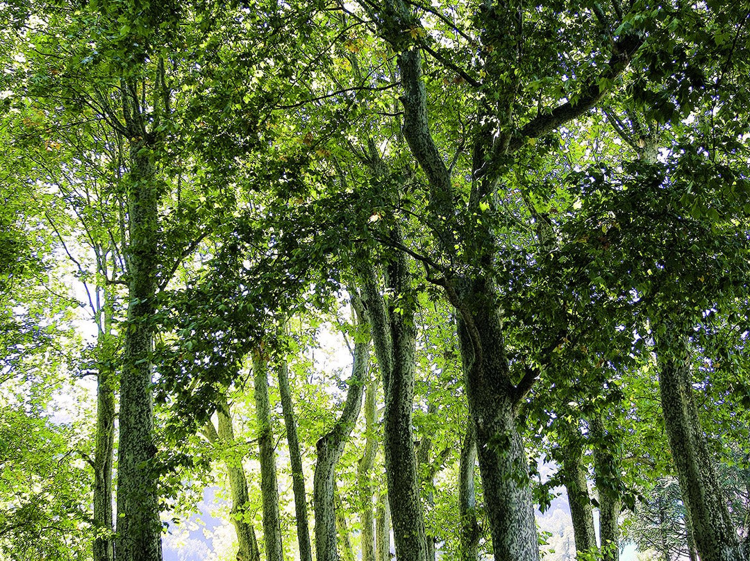 Eau Thermale Avène L'hôtel主图