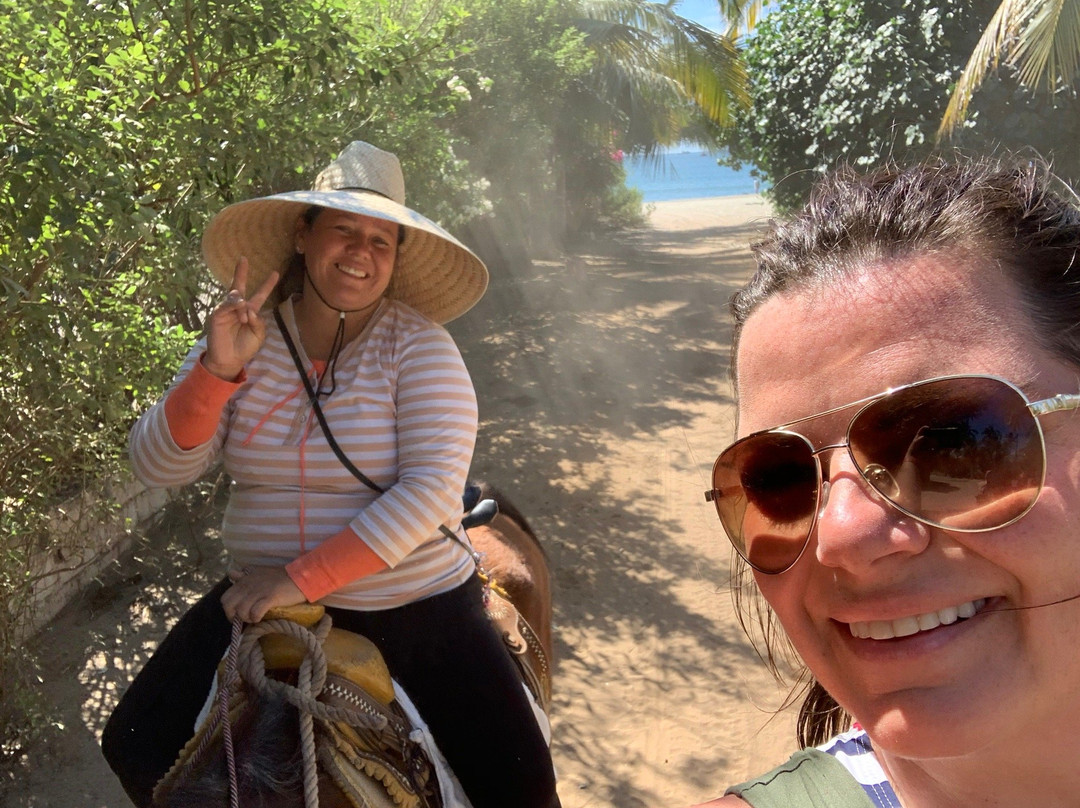 Maria's Happy Horses景点图片