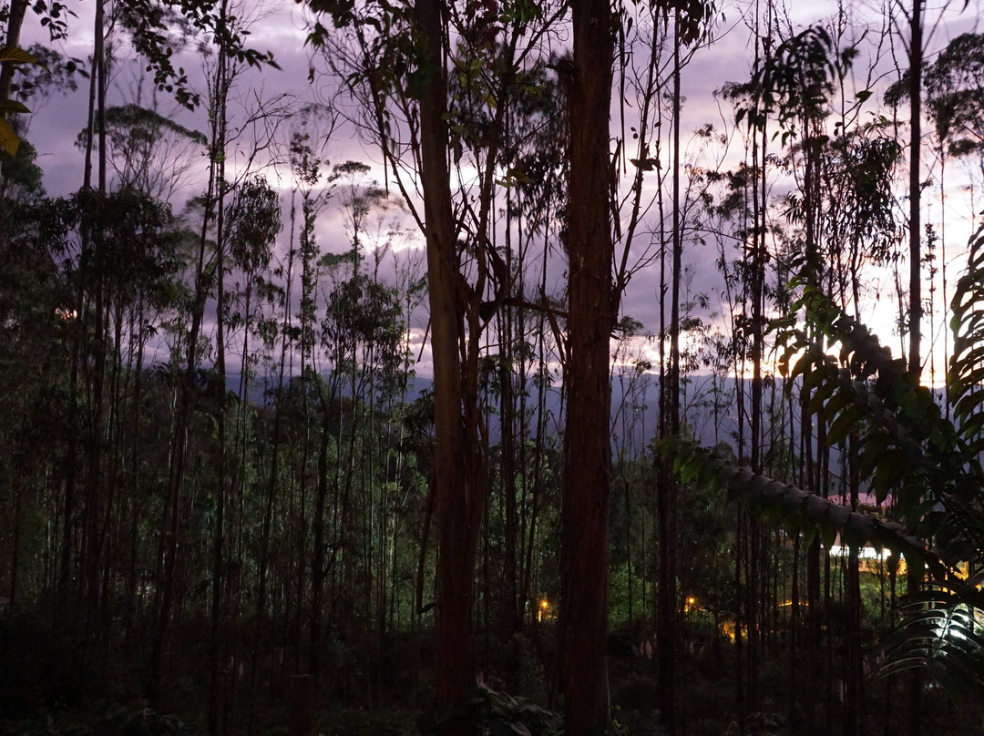 La Ensenada Hotel Chachapoyas主图