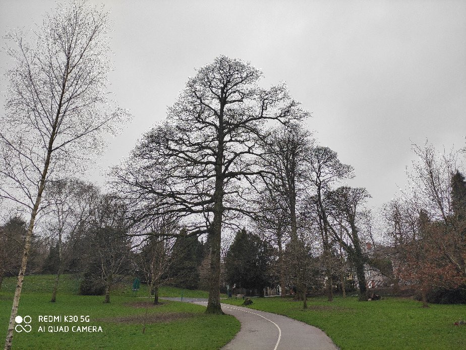 Singleton Park-斯温西必去景点