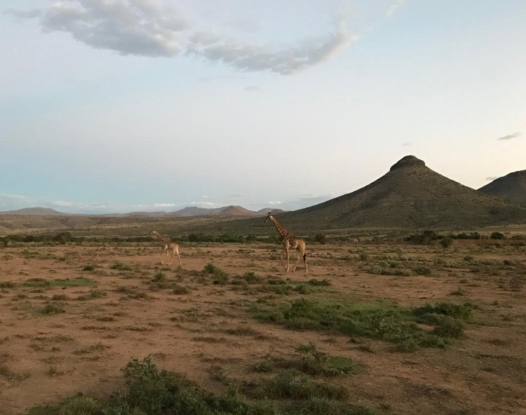 Glen Harry Game Reserve