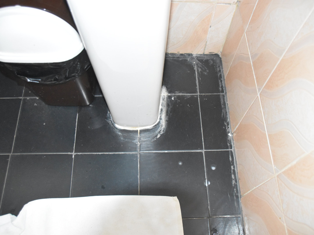 森脱维亚湖度假酒店主图