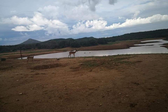 Galago Tours & Safaris Namibia-温德和克必去景点
