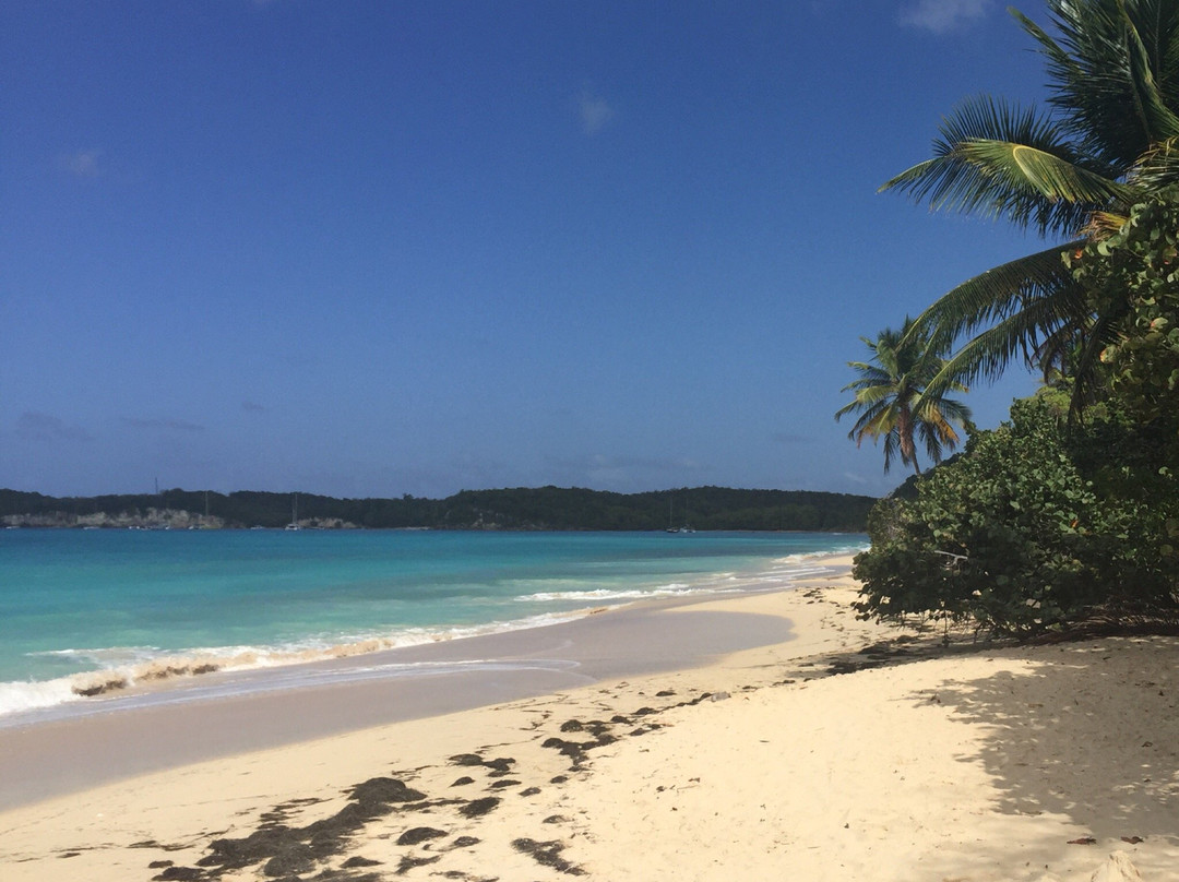 Mosquito Beach-Saint Louis必去景点