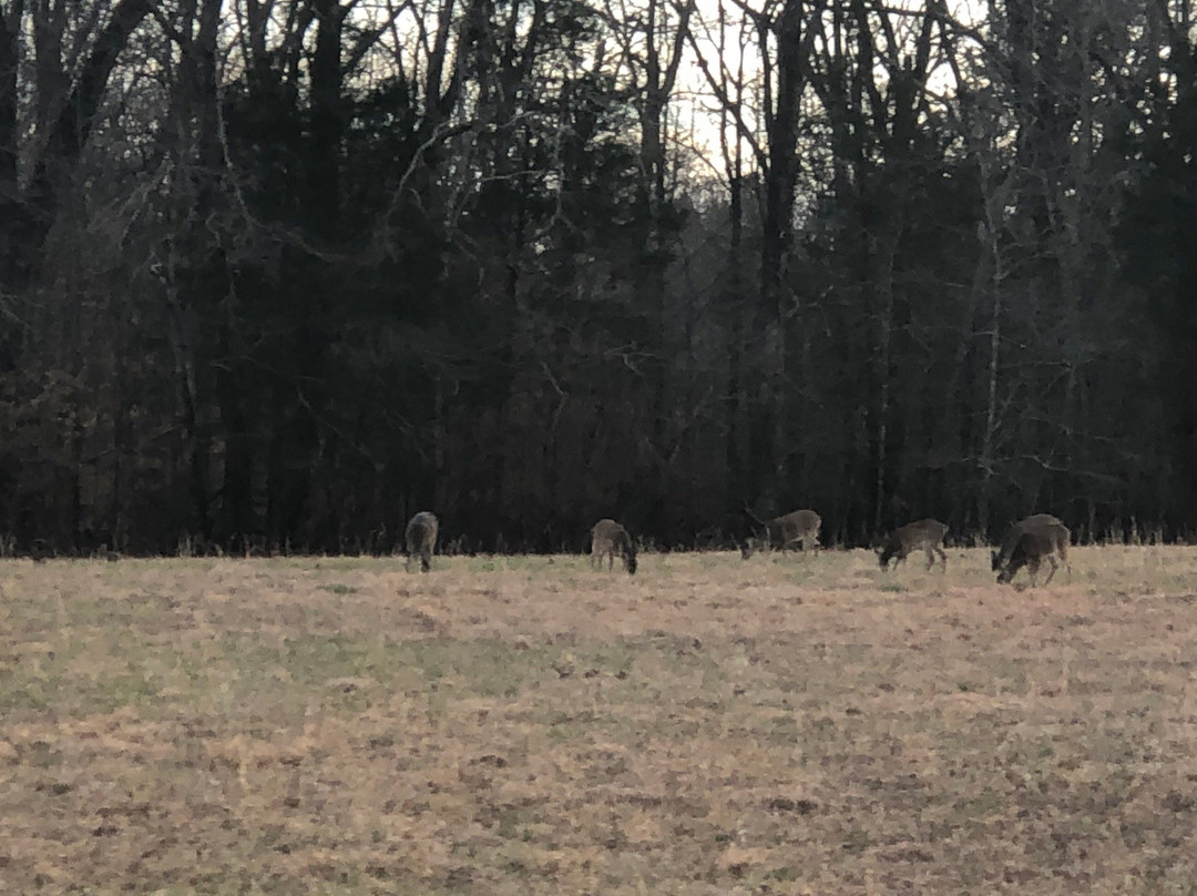 Shiloh Civil War Tours-Shiloh必去景点