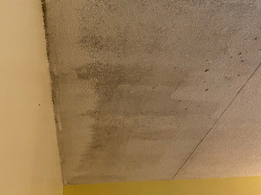 Econo Lodge Lumberton