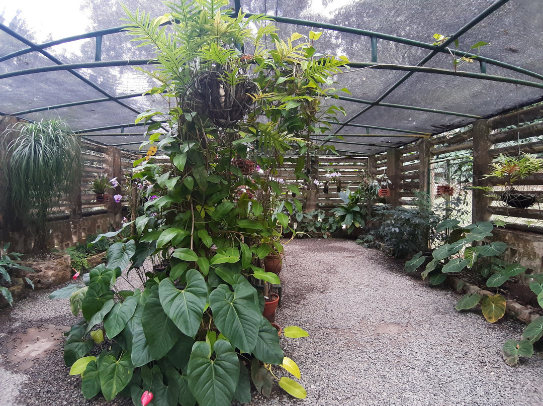 Soroa Orchid Botanical Garden-Soroa必去景点