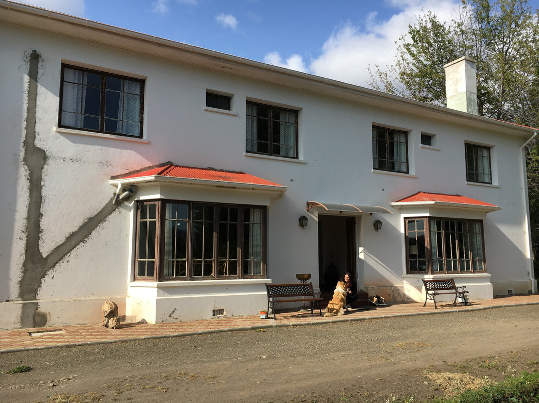 El Pionero-Puerto Aisen必去景点