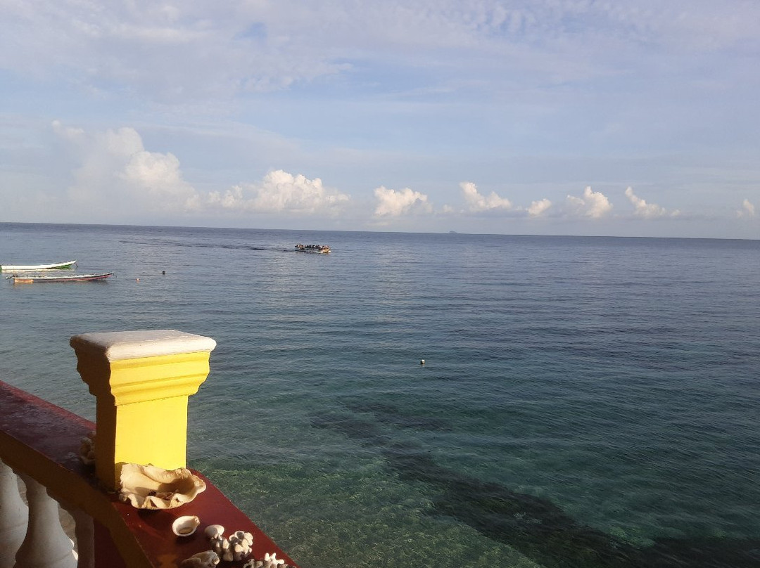 Green Coconut Guest House主图