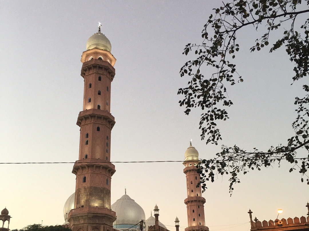 Taj ul Masajid景点图片