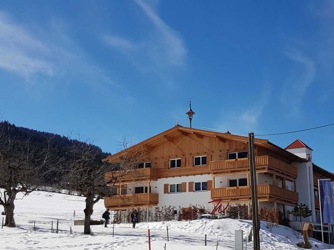 Hotel & Alpin Lodge Der Wastlhof主图