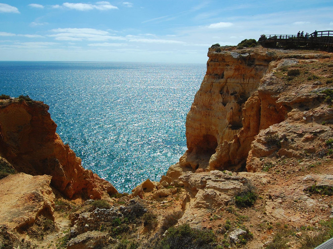 VTours Algarve-法罗必去景点
