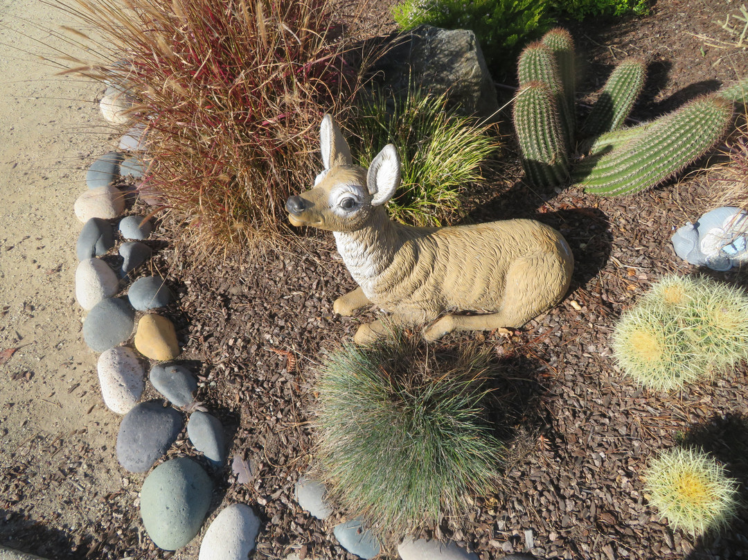 鹿天堂旅馆主图