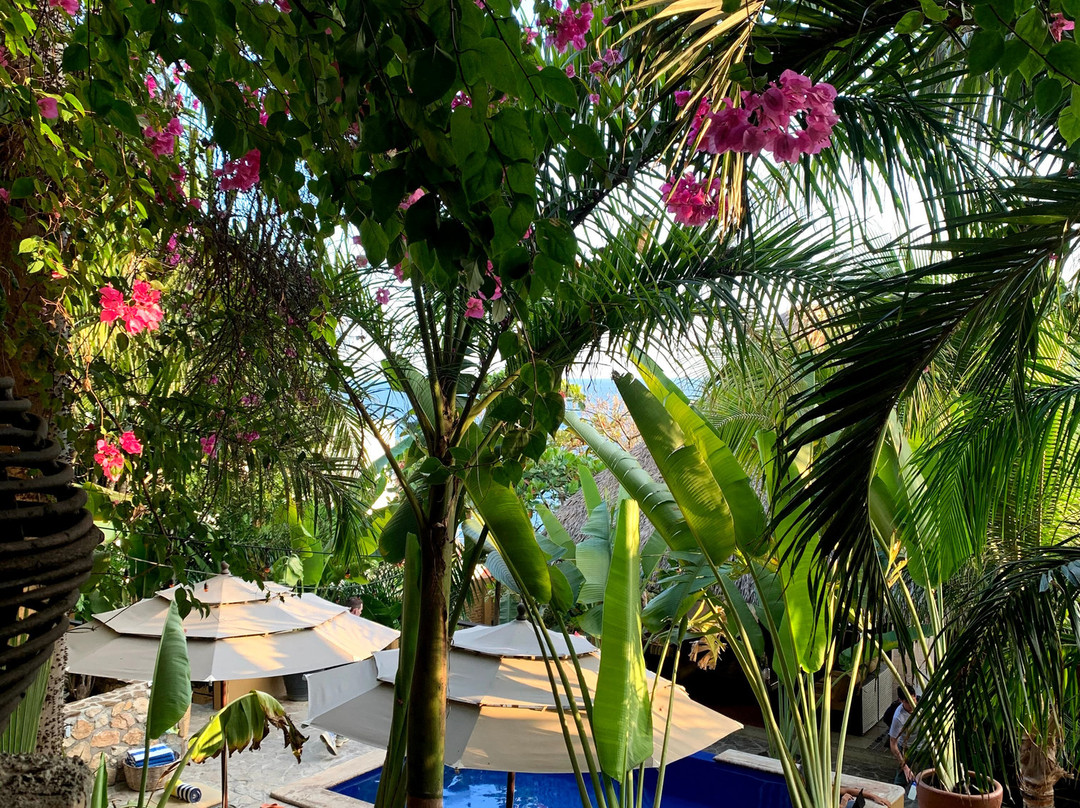 Casa Sol Zipolite主图