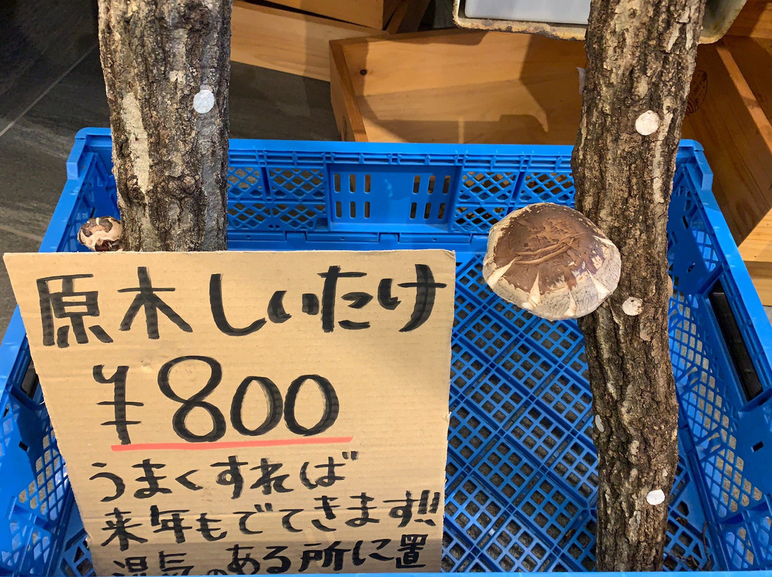 Michi-no-Eki Yotte Nishi Tosa-四万十市必去景点