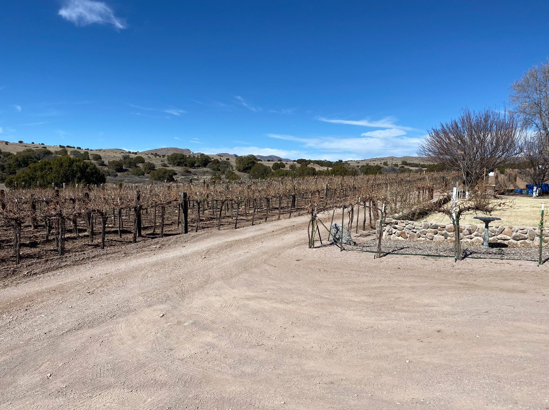 La Esperanza Vineyard and Winery景点图片