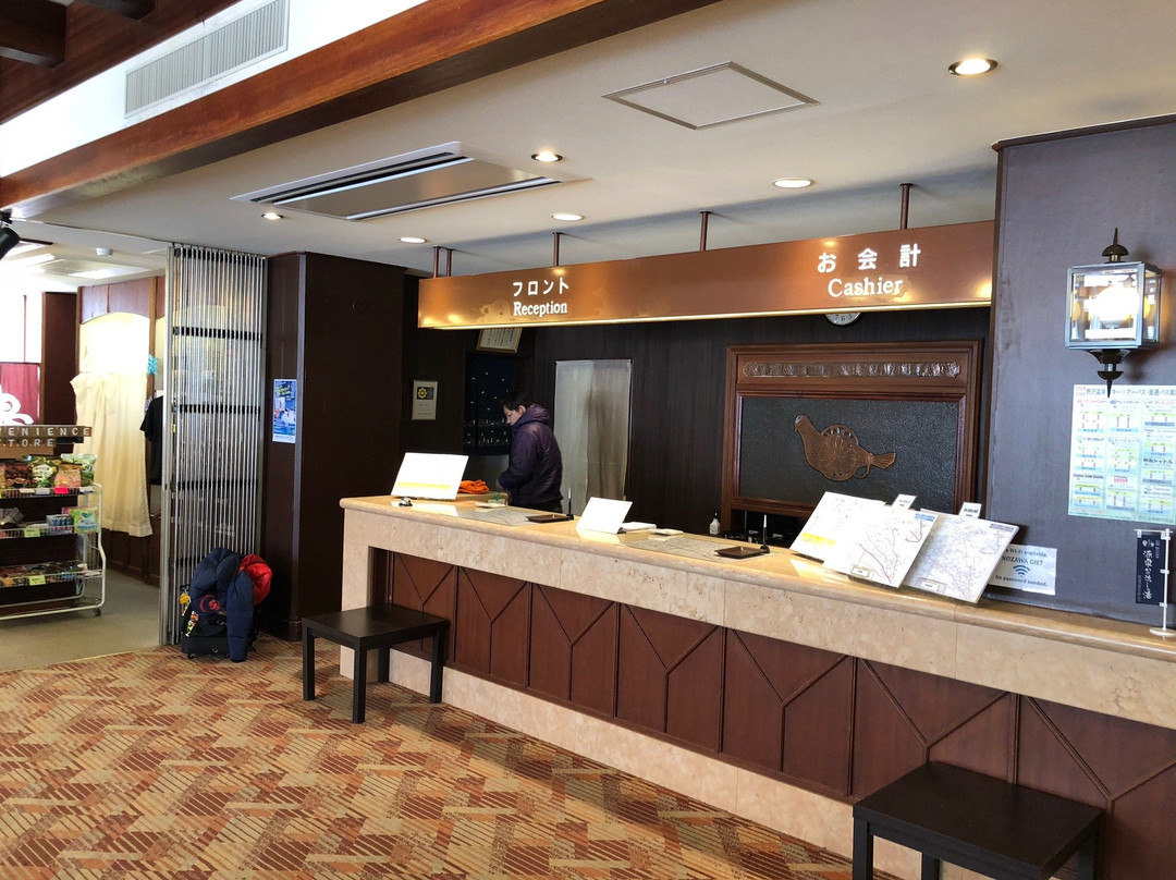 野泽大酒店主图