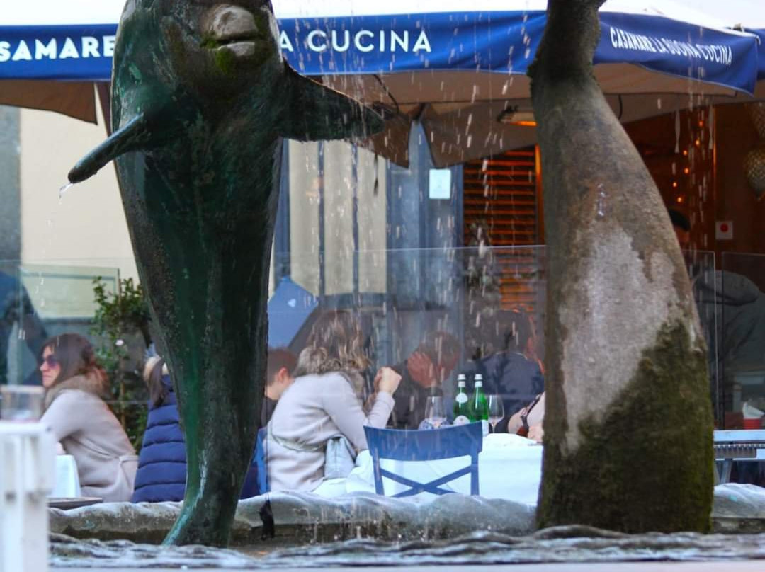Fontana dei delfini景点图片