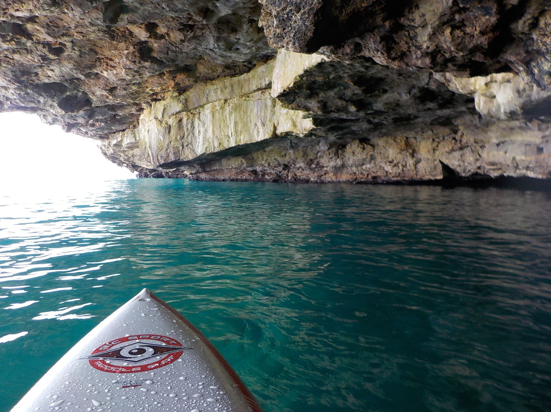 Ocean Tribe Watersport Alghero-阿尔盖罗必去景点
